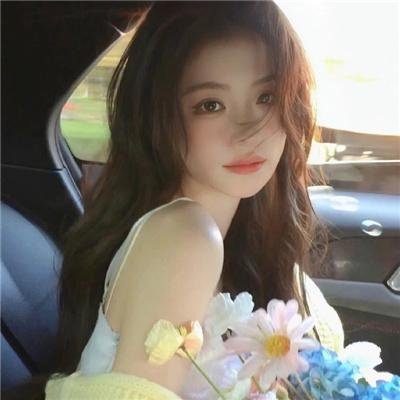 森林之境 在线观看